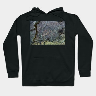 Thicket Hoodie